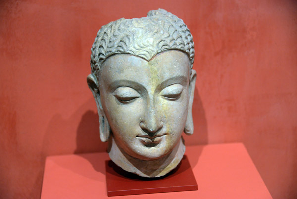 Head of Buddha, Gandharan Region, pre-Islamic Pakistan/Afghanistan, 3rd-5th C.