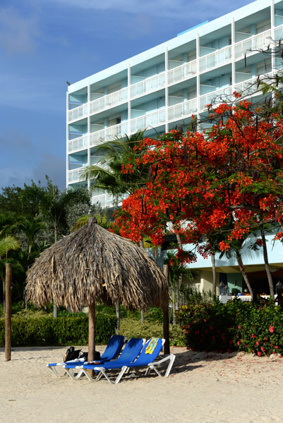 Beach of the Hilton Curaao