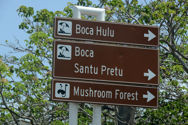 The Mushroom Forest is a famous dive site