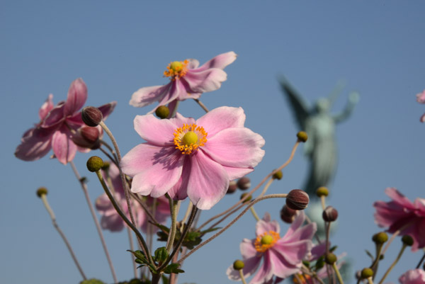 Flowers with the Ivar Huitfeldt Column, Copenhagen