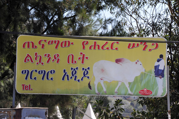 AddisDec13 495.jpg