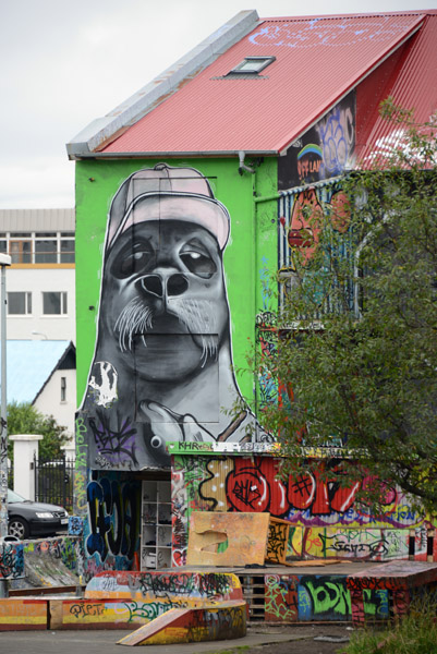 Reykjavk Mural Art and Graffiti
