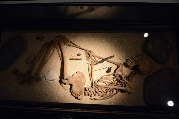 Skeleton of a 10th C. woman found with grave goods including Scottish-Celtic ornamentation