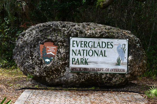 Everglades Feb14 002.jpg
