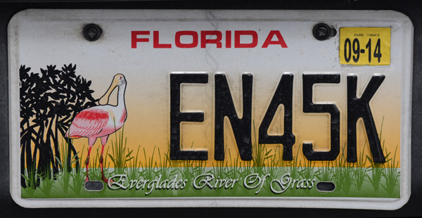 Everglades Feb14 006.jpg