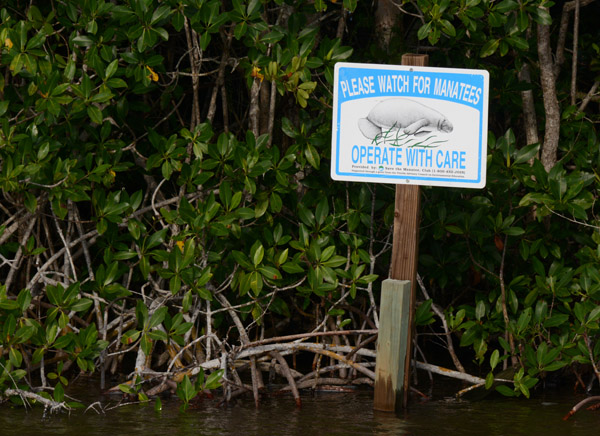 Everglades Feb14 224.jpg