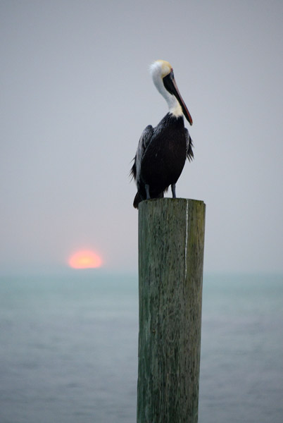 FloridaKeys Feb14 103.jpg