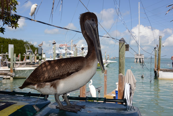 FloridaKeys Feb14 193.jpg
