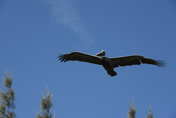 FloridaKeys Feb14 200.jpg
