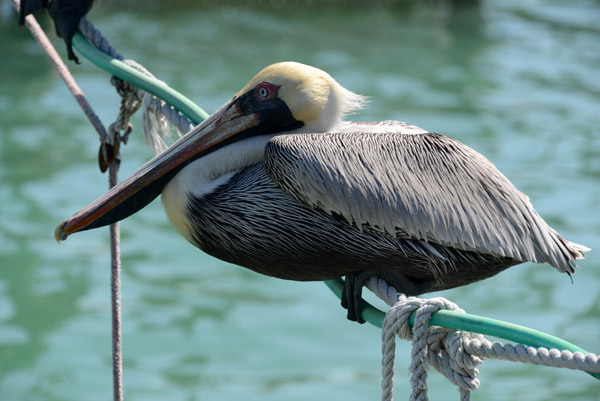 FloridaKeys Feb14 220.jpg