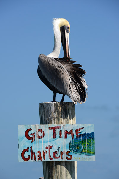 FloridaKeys Feb14 222.jpg