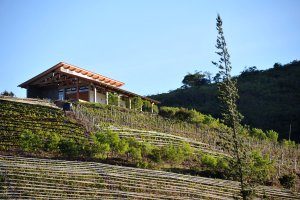 BoliviaMay14 1339.jpg