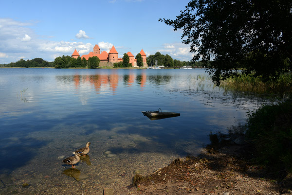 Ducks on the shore of Lake Galvė with Trakai Island Castle