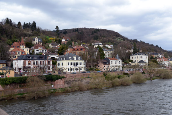 Altebrcke view of villas along Ziegelhuser Landstrae on the north side of the Neckar 