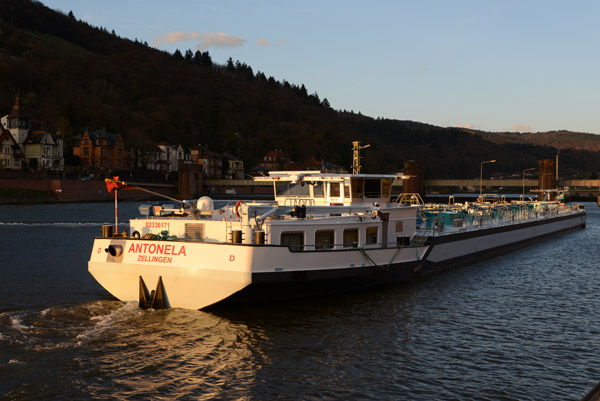 River Gas Transporter Antonela (Zellingen) on the Neckar at Heidelberg