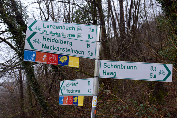 Burgenstrae Radweg between Neckarsteinach and Hirschhorn