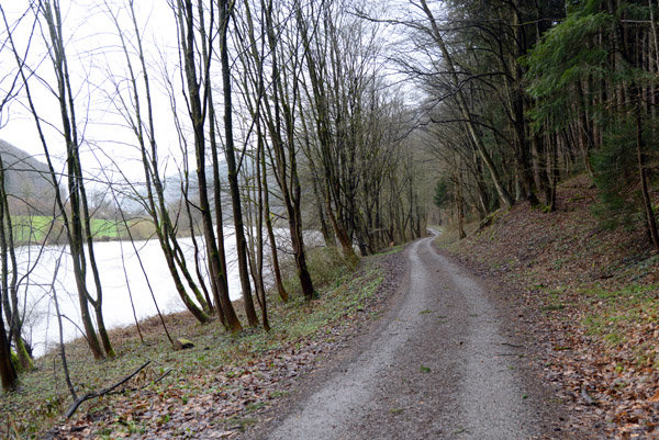 Burgenstrae Radweg along the Neckar nearing Hirschhorn 