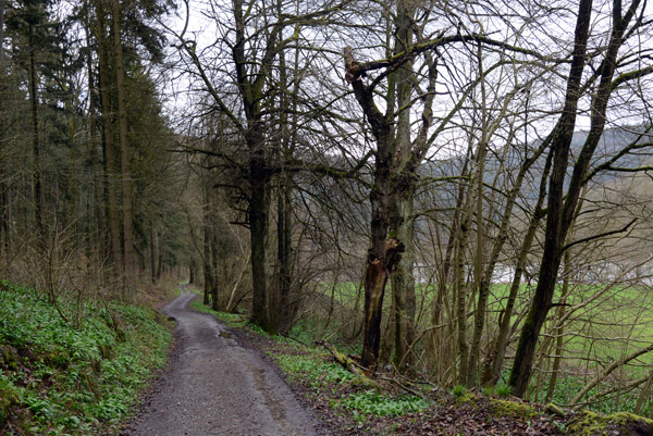 Burgenstrae Radweg on the left bank between Eberbach and Zwingenberg