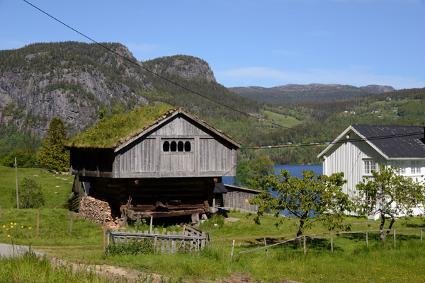 Traditional Norwegian barn covered with vegetation, 4 km south of Reirsfossen