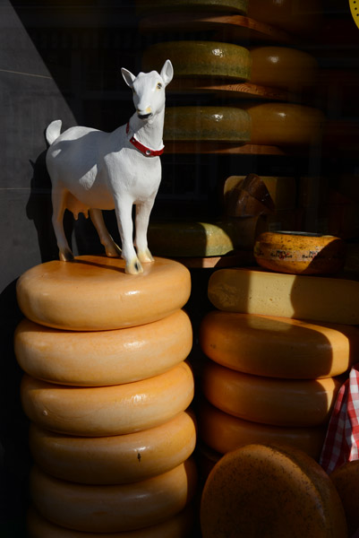 Stack of wheels of Gouda cheese