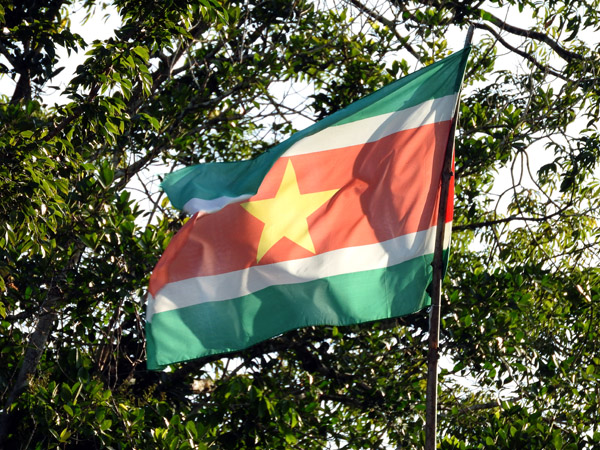Suriname Nov15 0105.jpg