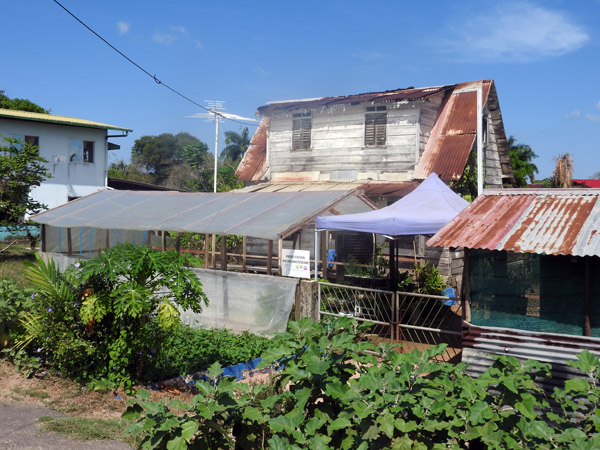 Suriname Nov15 0235.jpg