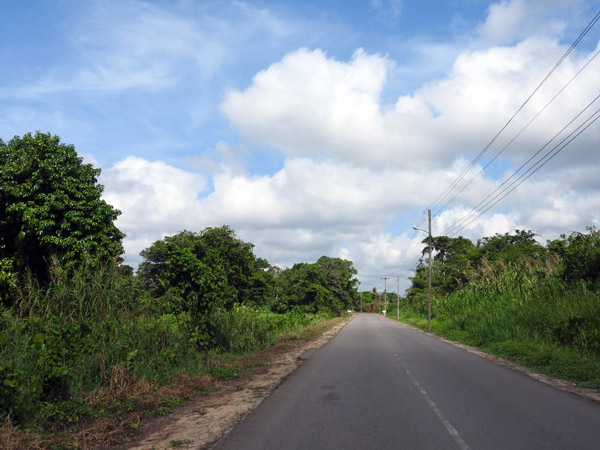 Suriname Nov15 0670.jpg