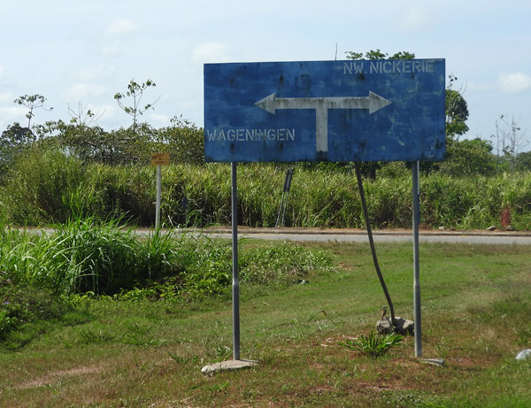 Suriname Nov15 0788.jpg