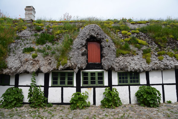 Only 19 seaweed roofed buildings remain on Ls maintained with eelgrass from southern Denmark 