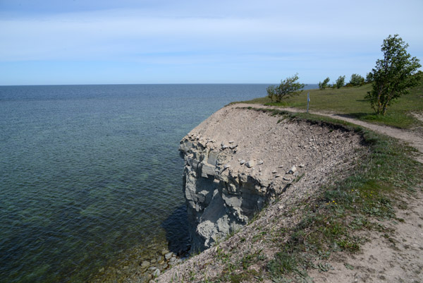 Panga Cliff, Saaremaa