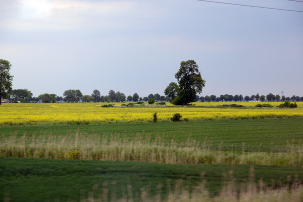 Landscape from the train between Gdansk and Malbork