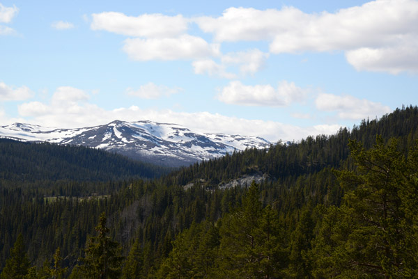 Summer snow in the highlands south of the lake Espedalsvatnet, Gausdal