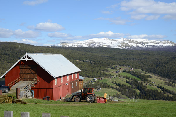 Norwegian red barn with summer snow covered highlands, Skbu