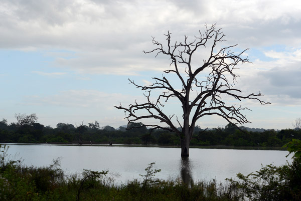 Large lake on the east side of Udawalawe National Park