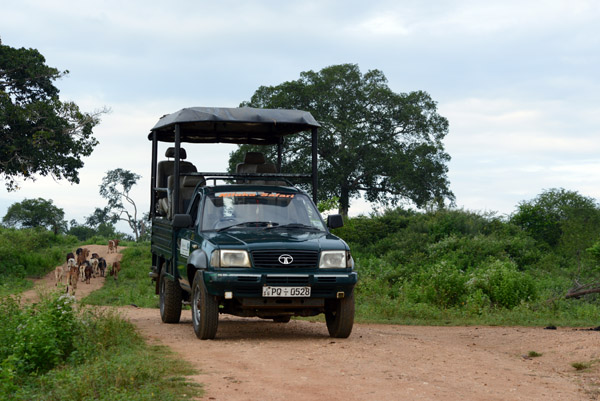 Our open side safari vehicle, Udawalawe National Park