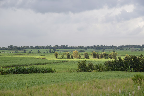 The view south from the Elephant Trail Lodge, Udawalawe