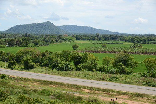 Rice and banana under cultivation beneath the Lunugamwehera Dam