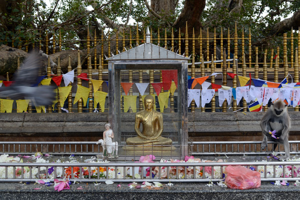 Shrine fence surrounding the sacred Bodhi Tree, Kataragama