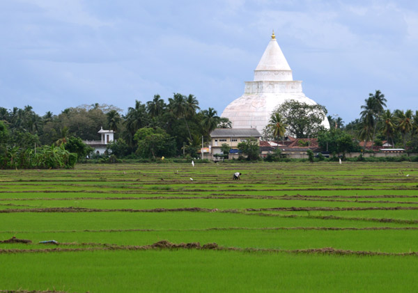 SriLankaDec15 0412.jpg