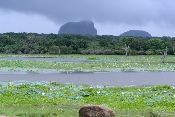 SriLankaDec15 0742.jpg