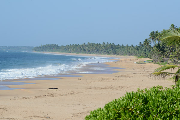 SriLankaDec15 1026.jpg
