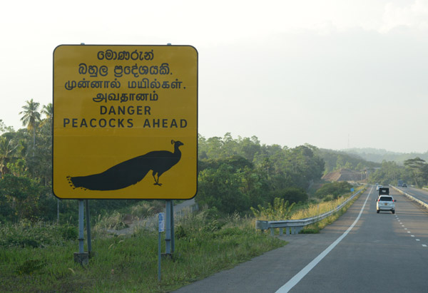 SriLankaDec15 1291.jpg
