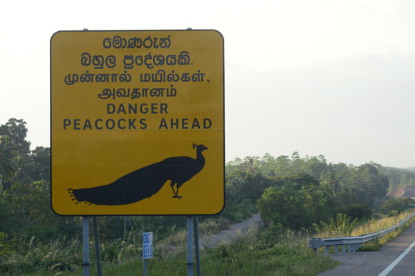 SriLankaDec15 1292.jpg