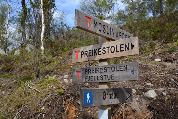 Moslivarden/rnabu junction on the Preikestolen Trail