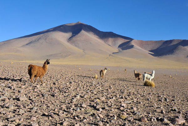 BoliviaMay14 5568.jpg