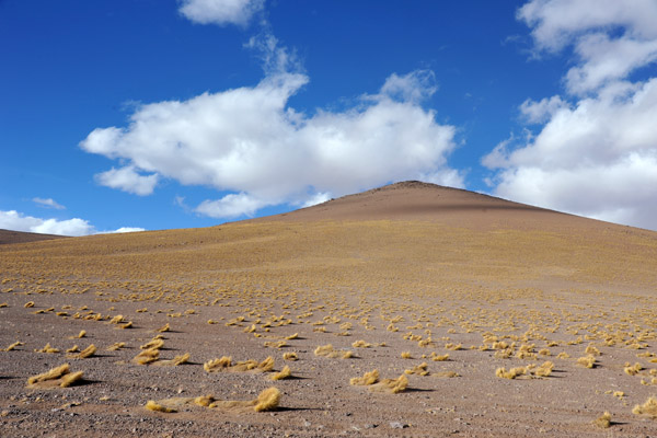 BoliviaMay14 6160.jpg