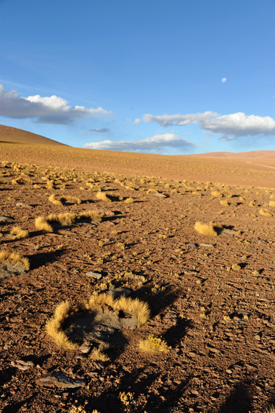 BoliviaMay14 6197.jpg