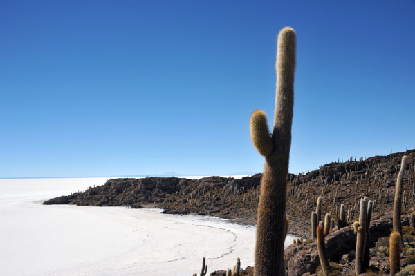 BoliviaMay14 7090.jpg