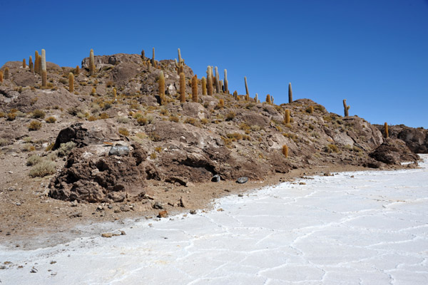 BoliviaMay14 7229.jpg