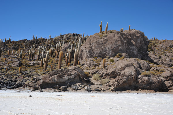 BoliviaMay14 7268.jpg